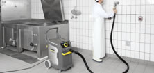 Professional Steam Cleaners